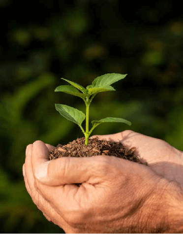 sustainability