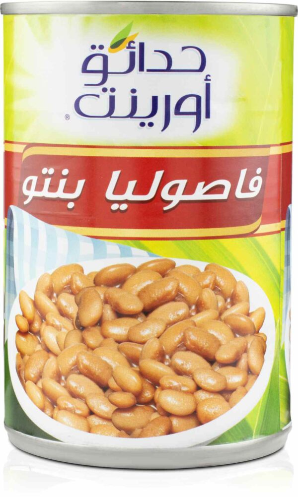 O.G PINTO BEANS 400GM