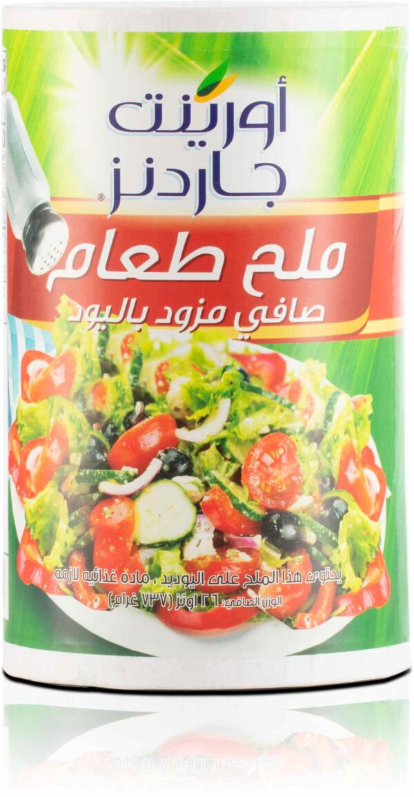 O.G IODIZED TABLE SALT 26oz