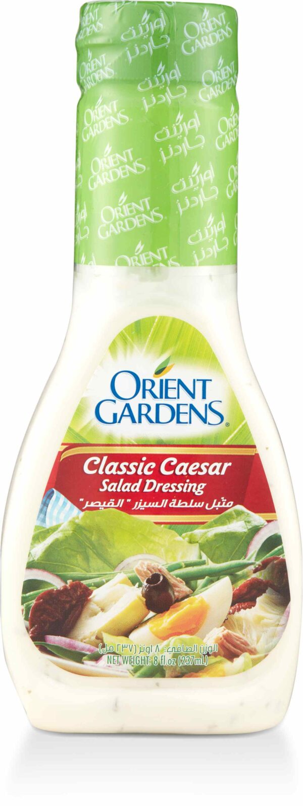 O.G SALAD DRESSING CLASSIC CAESAR 8 OZ
