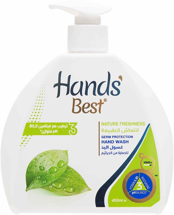 H.BEST NATURE FRESHNES HAND WASH12/450ML