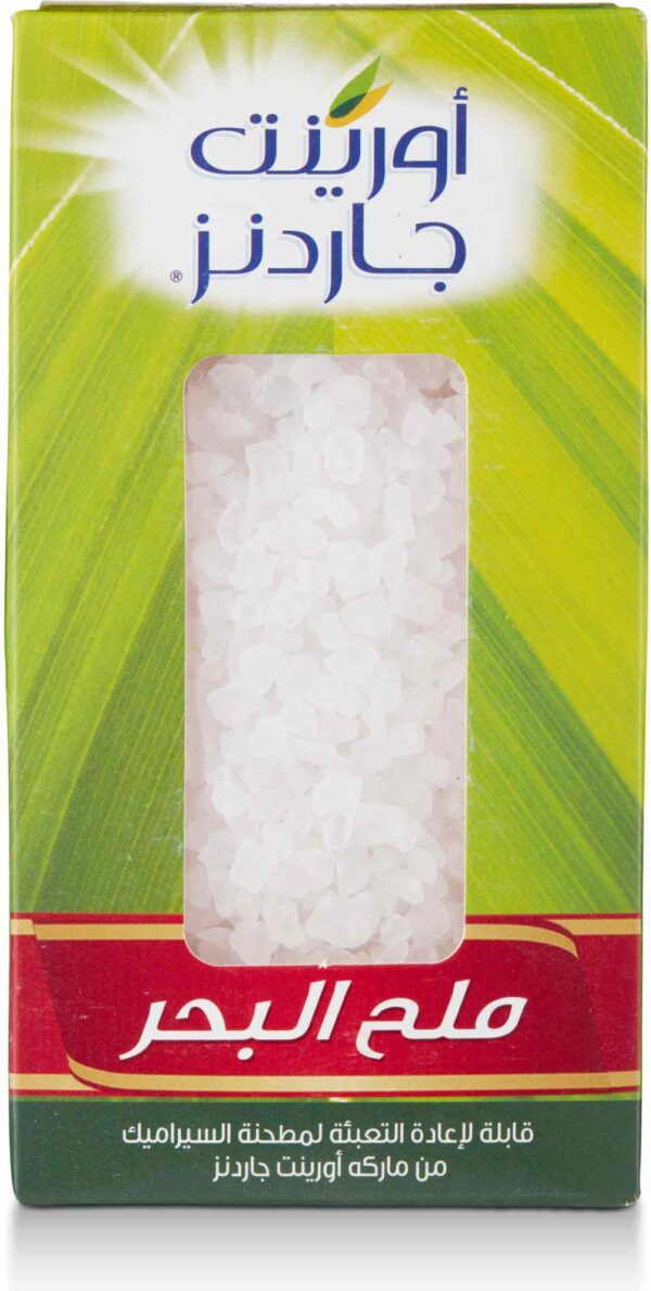 O.G Sea Salt (Refill) 400 GM